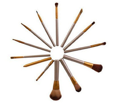 NAKED 12pcs Professional Makeup Brush Kit with LARGE Box - Offer Hunts