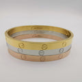 Cartier Stainless Steel Bracelet Set - Thick 6mm - 3 Pieces - Offer Hunts