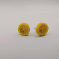 Fruity Earrings - 9 Designs - Offer Hunts