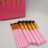 Anastasia 10pcs Professional Makeup Brush Kit - Pink - Offer Hunts