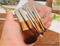 NAKED 7pcs Professional Makeup Brush Travel Kit with MEDIUM Box - Offer Hunts