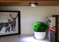 (3 Pieces) Wireless Touch LED Spotlight Night Light - Battery Operated - Offer Hunts